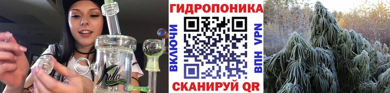 Купить закладки  Норильск  Бошки Шишки конопля 